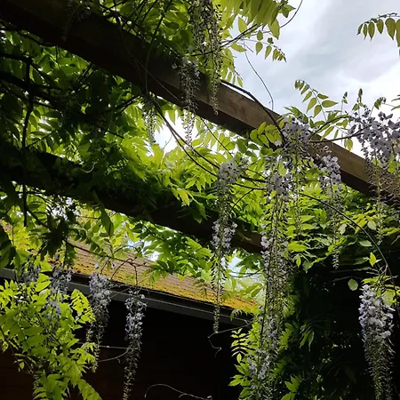 Apartment Suites11 Com - Contactless Check-in Schlusslberg