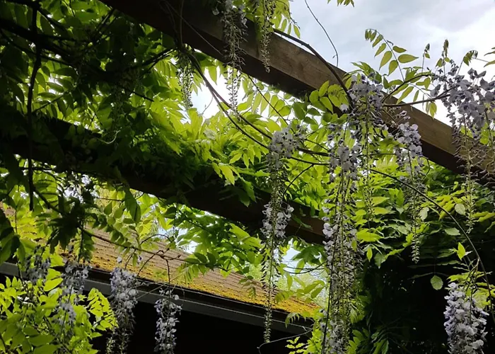 Apartament Suites11 Com - Contactless Check-in Schlusslberg